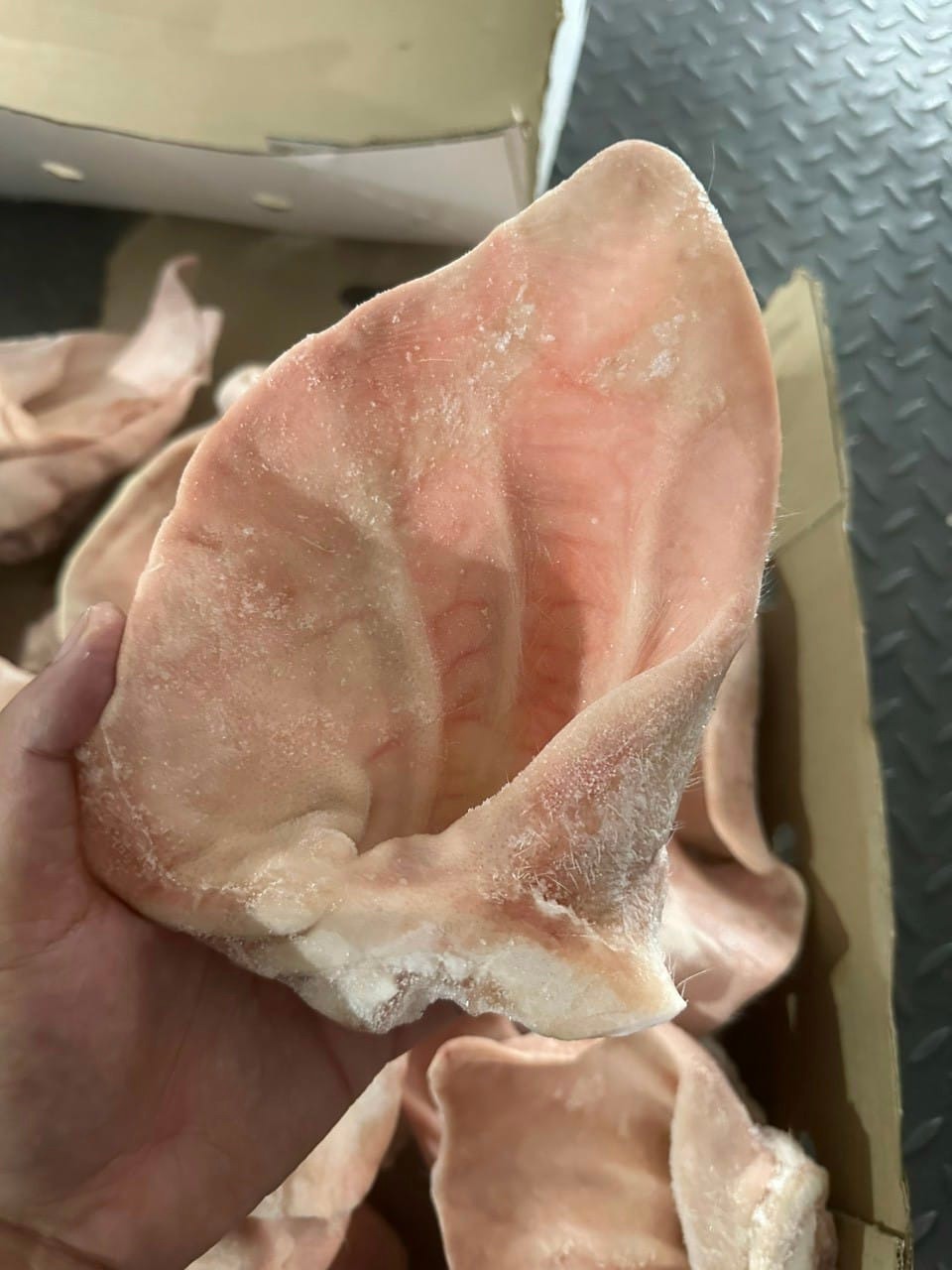 Nguồn cung cấp phân phối thực phẩm đông lạnh Quận 3