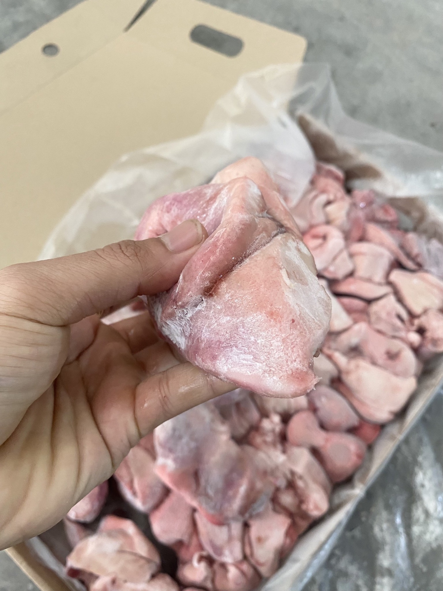 Mũi heo đông lạnh Miratorg