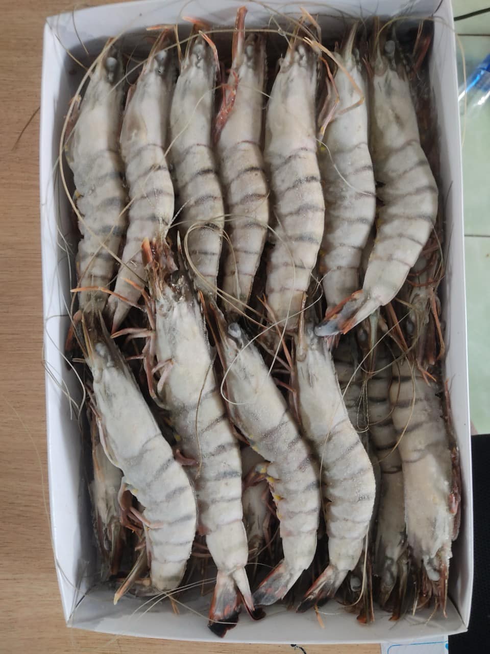 Tôm thẻ đông lạnh 25-30 con/kg