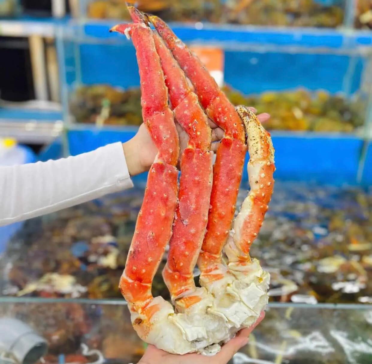 Chân cua hoàng đế đông lạnh 1,5-2 kg/bộ