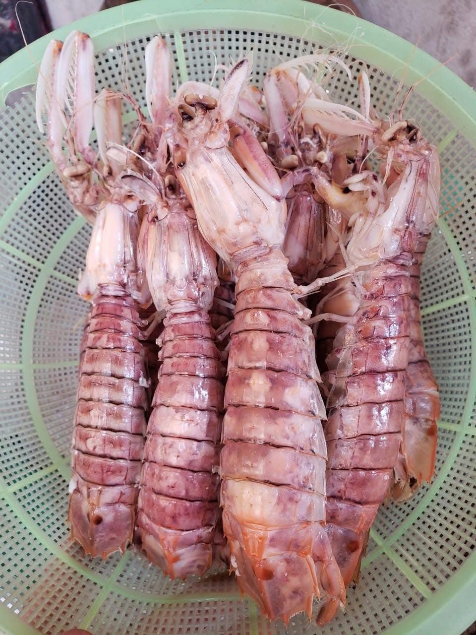 Tôm tít (bề bề) đông lạnh 6-8 con/kg