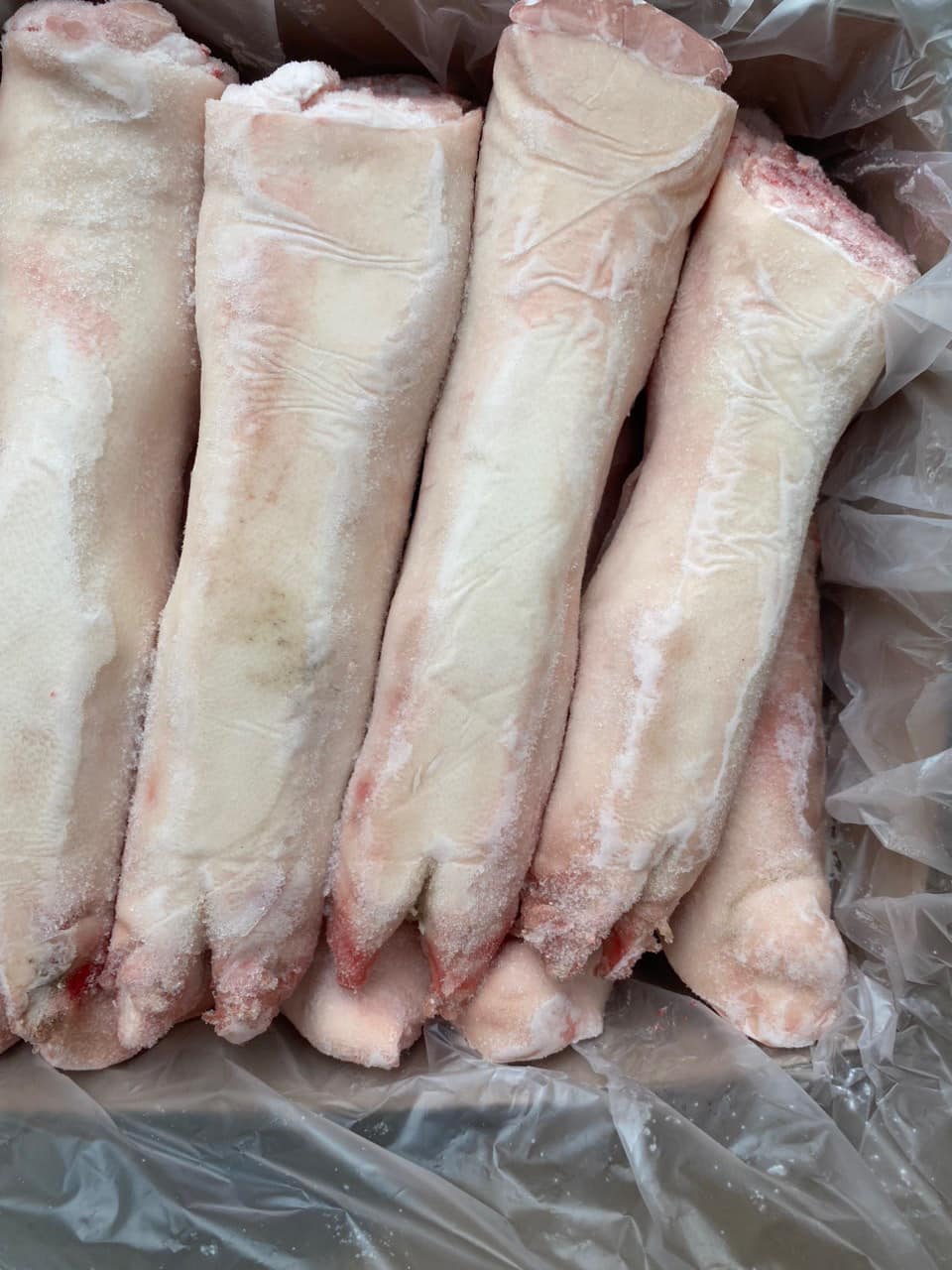 Dựng heo sau BeCambell