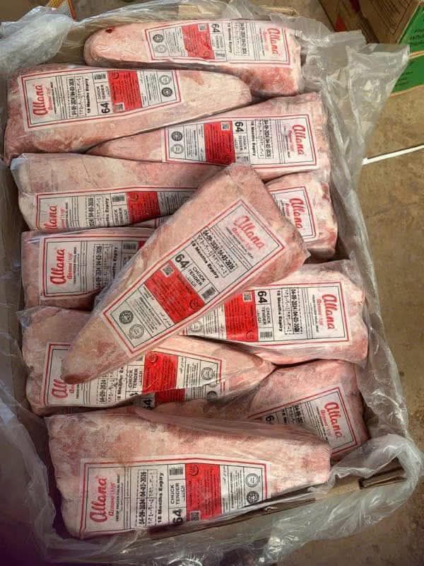 Bắp Cá Lóc Ấn Độ ALLANA MS 64 (Lóc Gân)