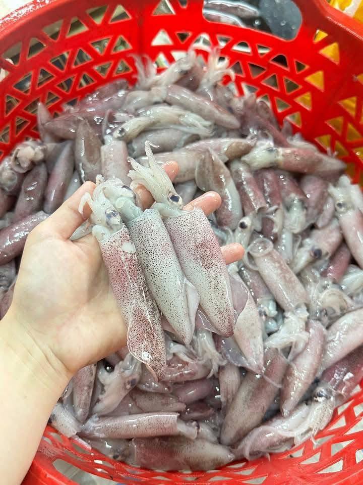 Mực trứng đông lạnh loại 1 size 8-10 con/kg