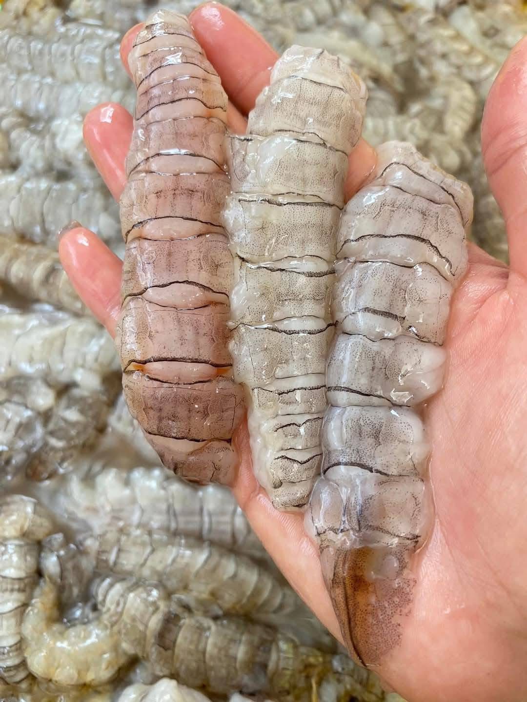 Tôm tít gạch (bề bề) tách vỏ đông lạnh 70-90 con/kg