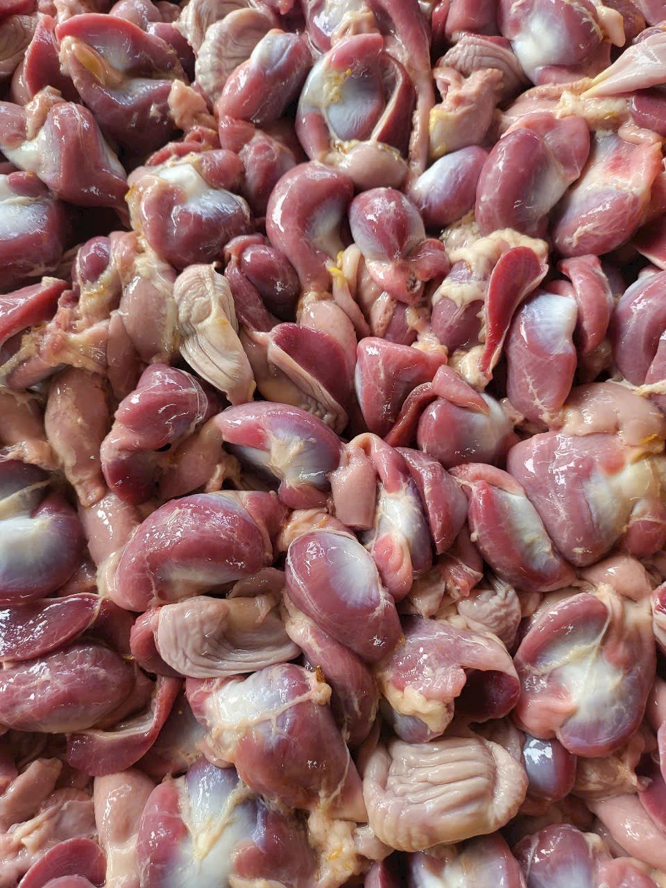 Mề gà tươi làm sạch thơm ngon