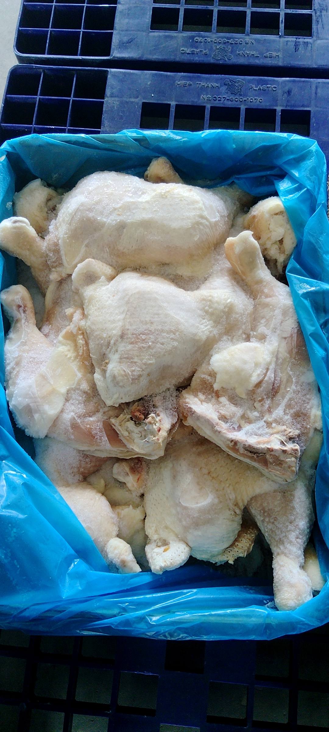 Đùi gà góc tư sanderson