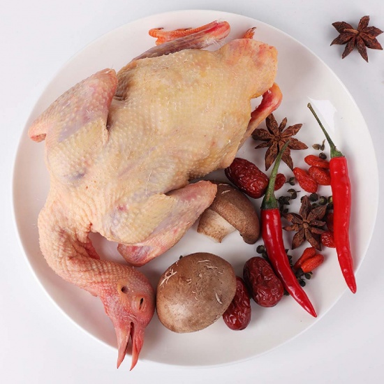 Địa Chỉ Bán Bồ Câu Thịt Củ Chi Uy Tín