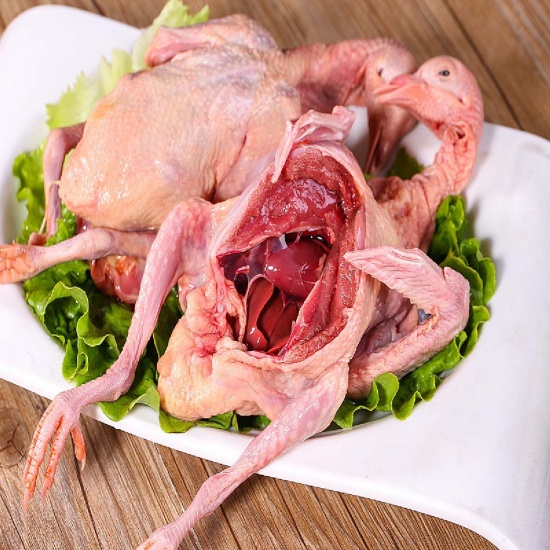 Địa Chỉ Bán Bồ Câu Thịt Nhà Bè Uy Tín, Giá Tốt