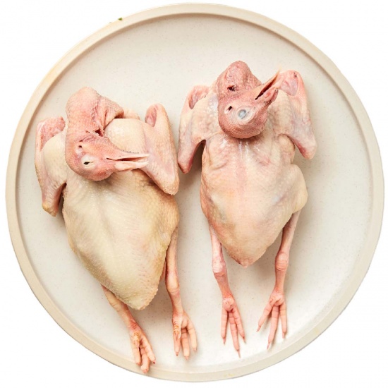 Chim bồ câu pháp làm sạch 300-400 gr/con