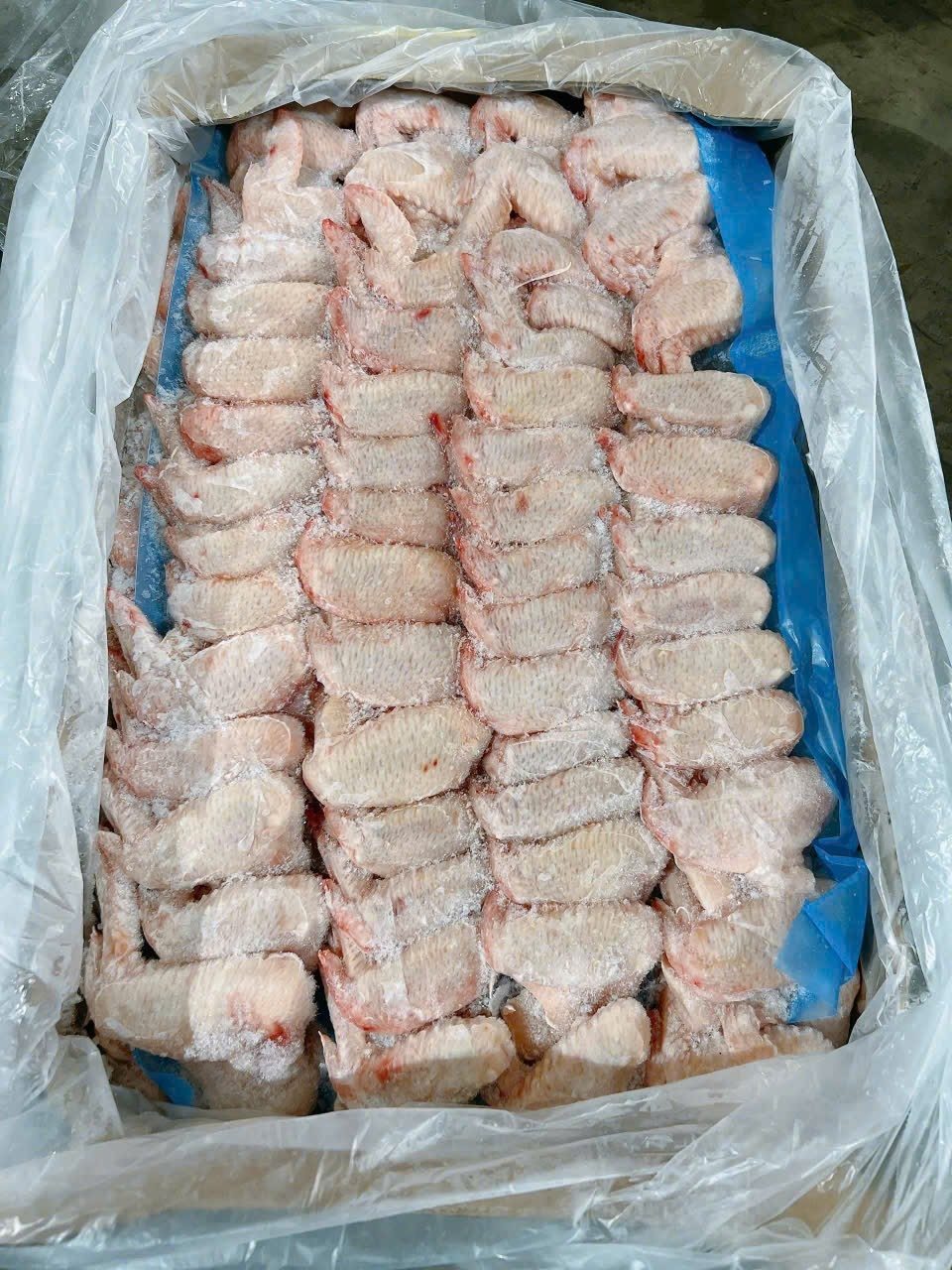 Cánh Gà GTA Argentina