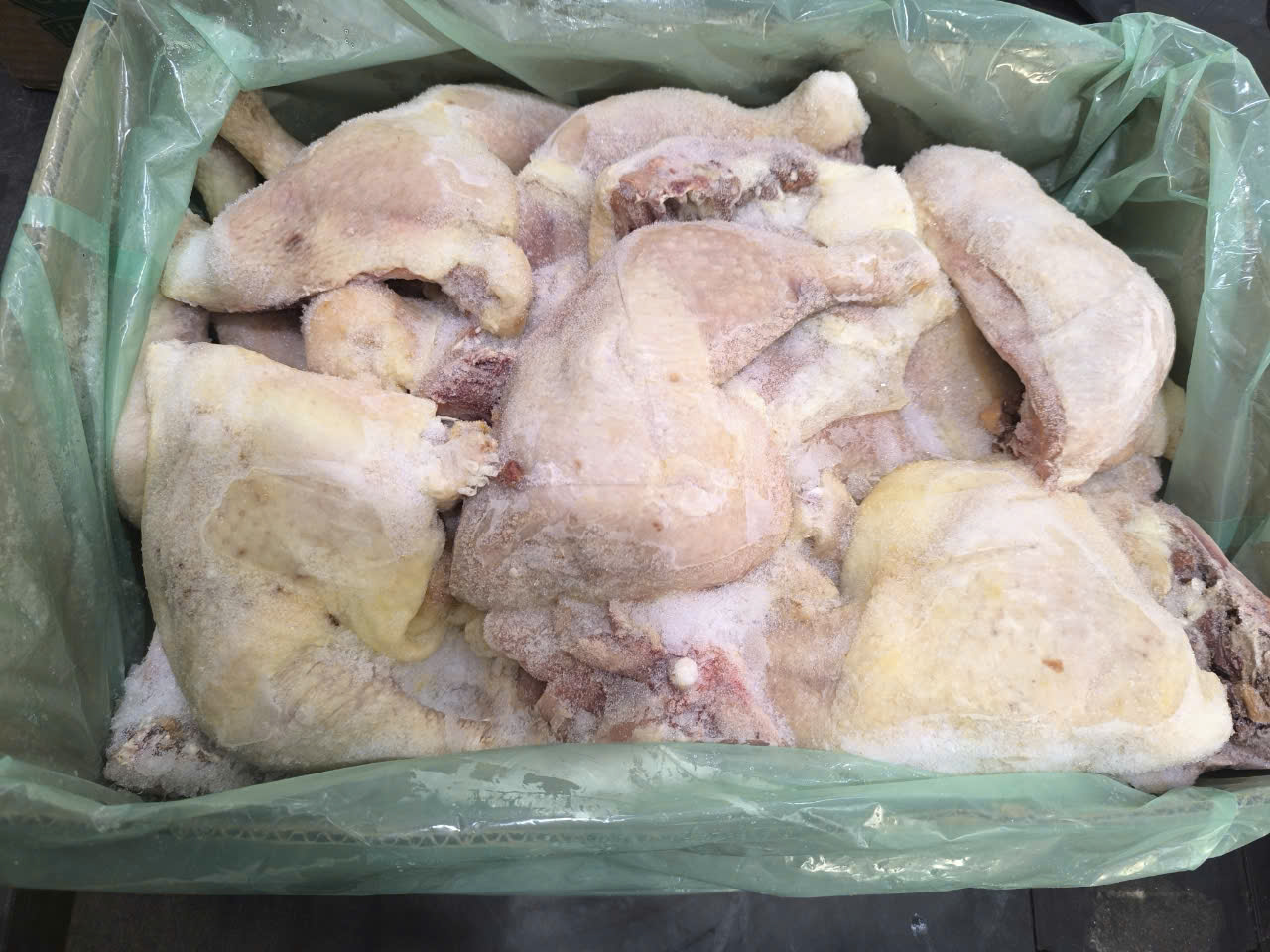 Đùi góc tư lớn Pilgrim