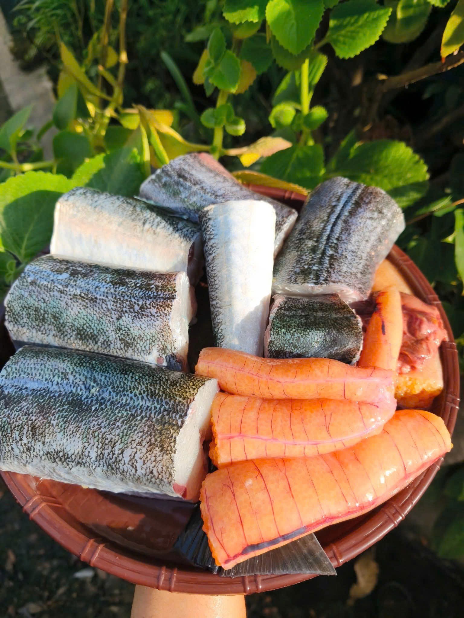 Cá xương xanh thiên nhiên