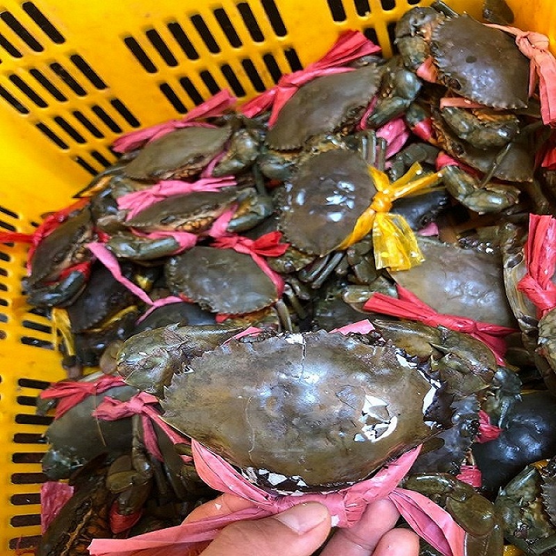 Cua cốm (cua 2 da) loại 140-190 gr/con