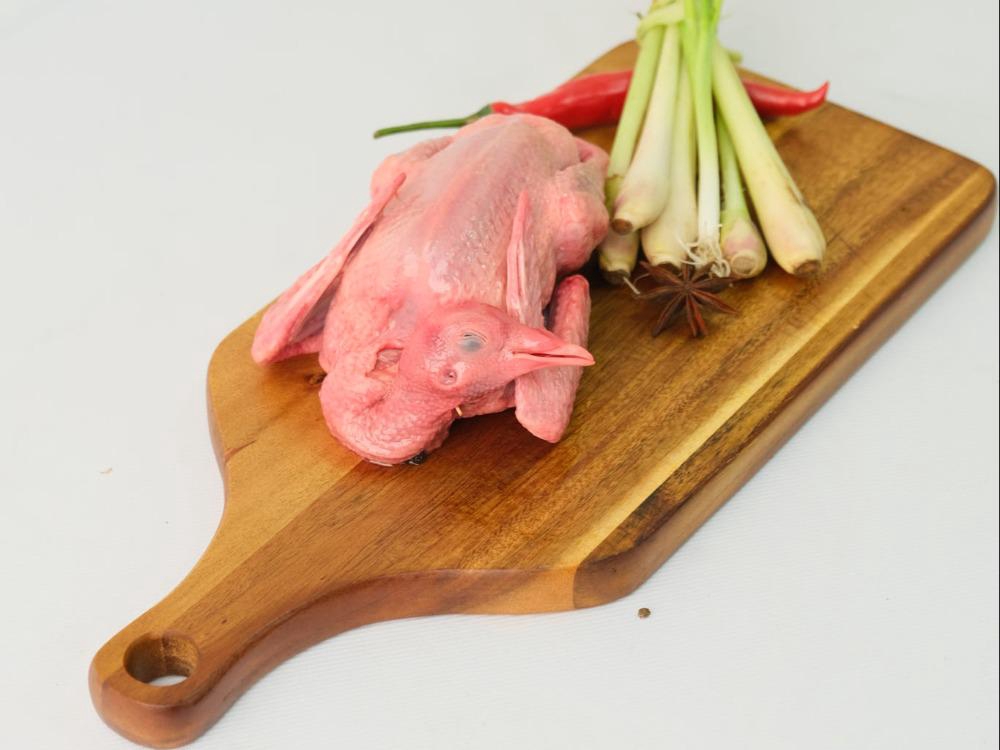 Địa Chỉ Bán Bồ Câu Thịt Quận 12 Uy Tín, Giá Tốt