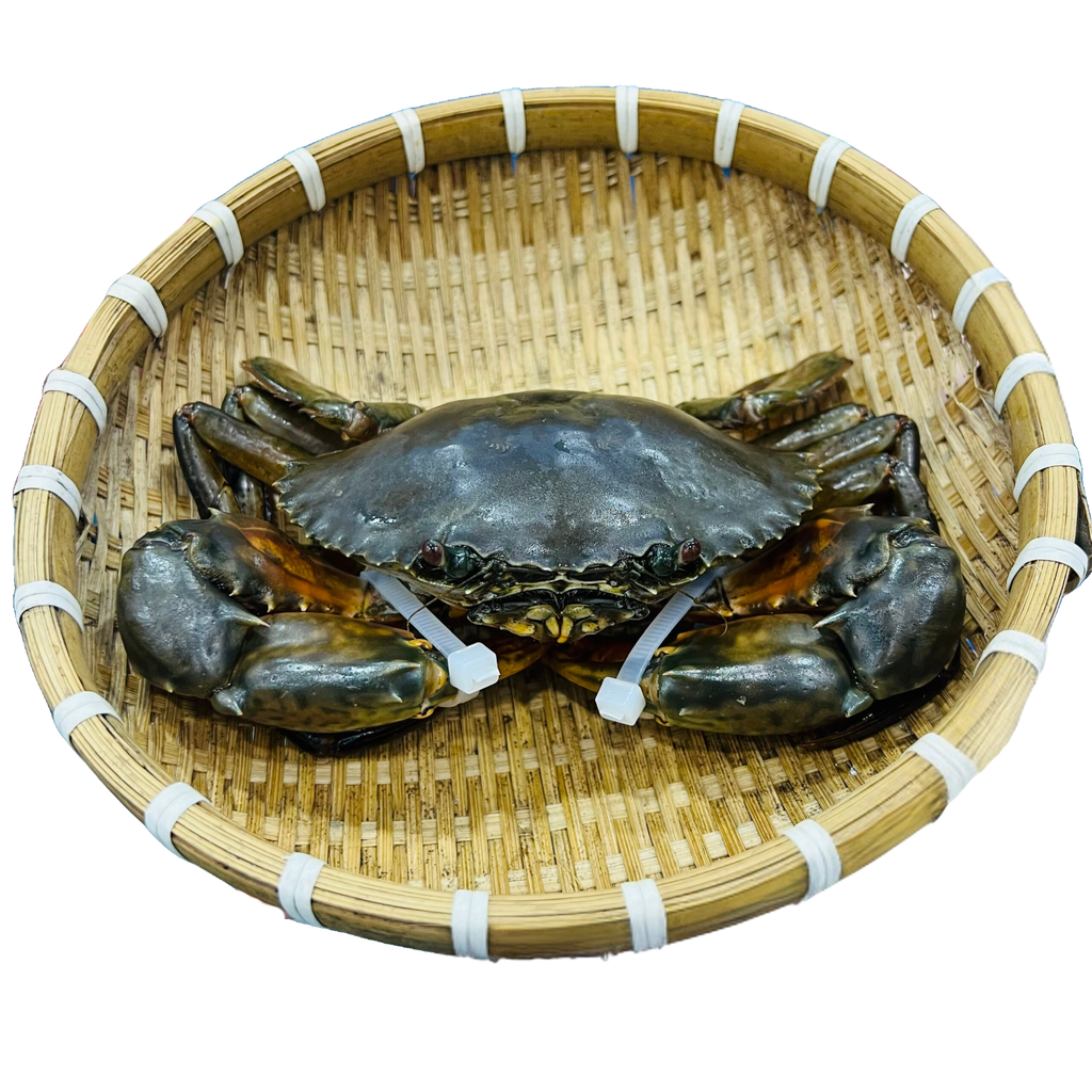 Cua Thịt Lớn (Size 0.35–0.7kg/con)