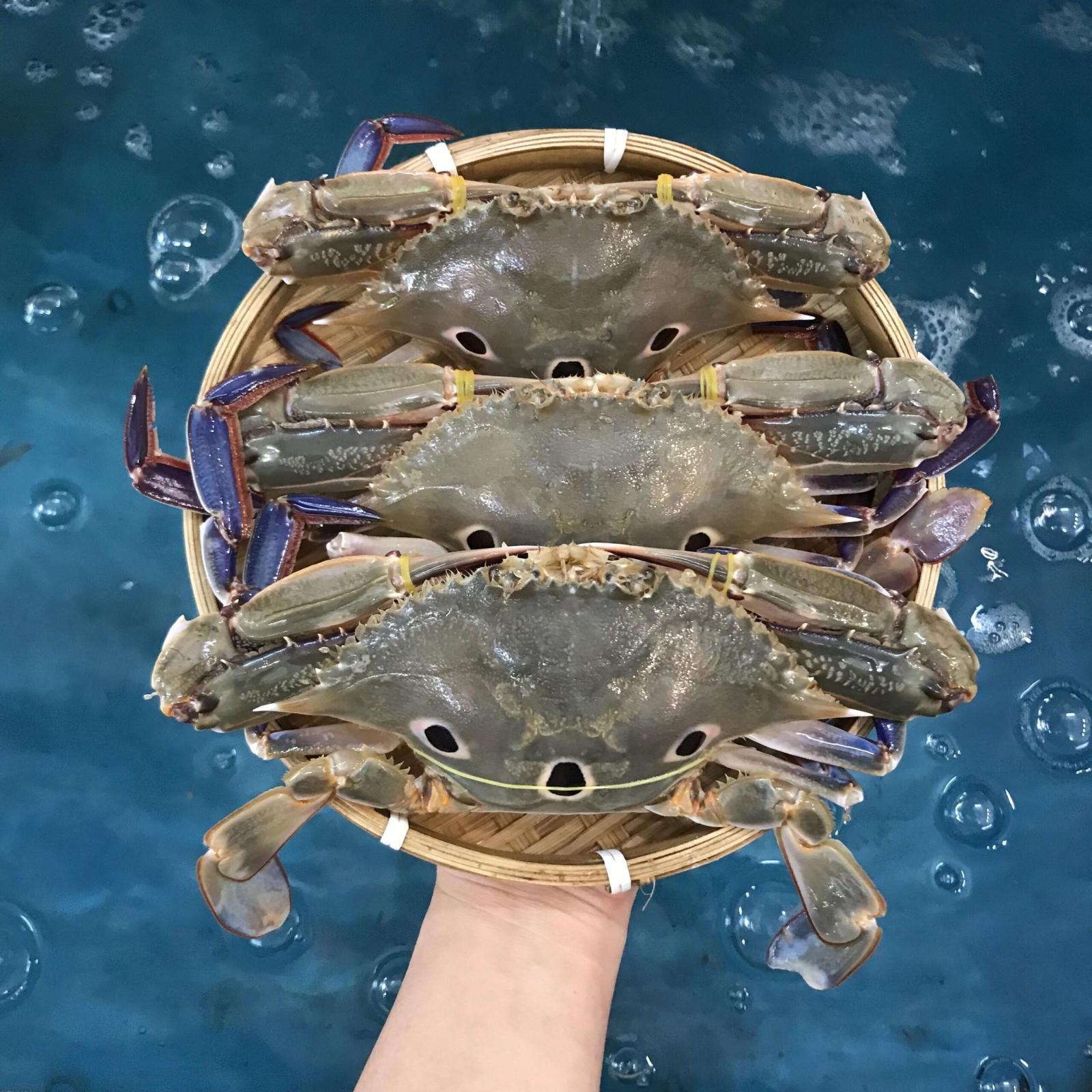 Ghẹ Sống (3 – 4 con/kg)