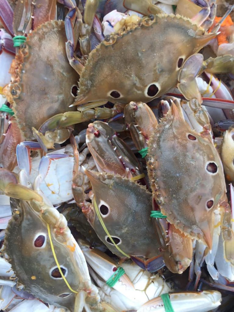 Ghẹ ba chấm đông lạnh loại 1 giá tốt size 6-7 con/kg