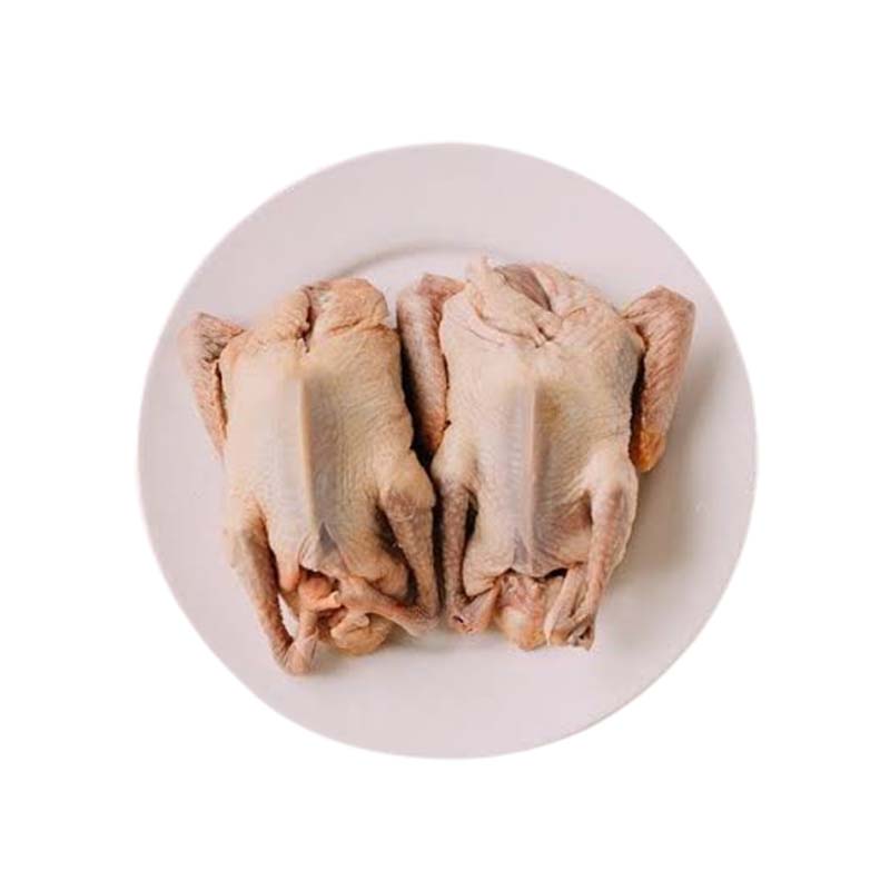 Địa Chỉ Bán Bồ Câu Thịt Quận 6 Uy Tín, Giá Tốt