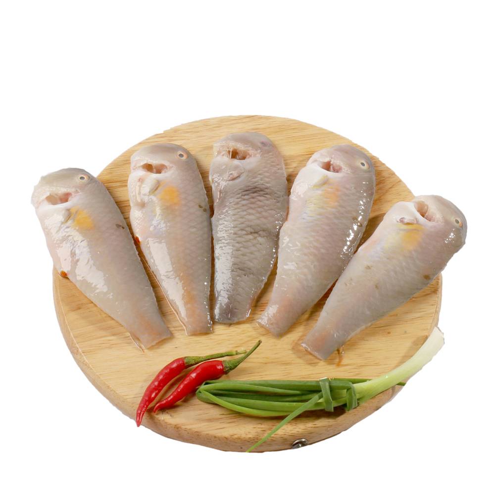 Cá Lưỡi Mèo Tươi Ngon