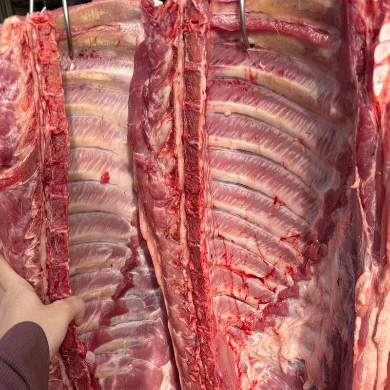 Sườn Dăm Heo Tươi