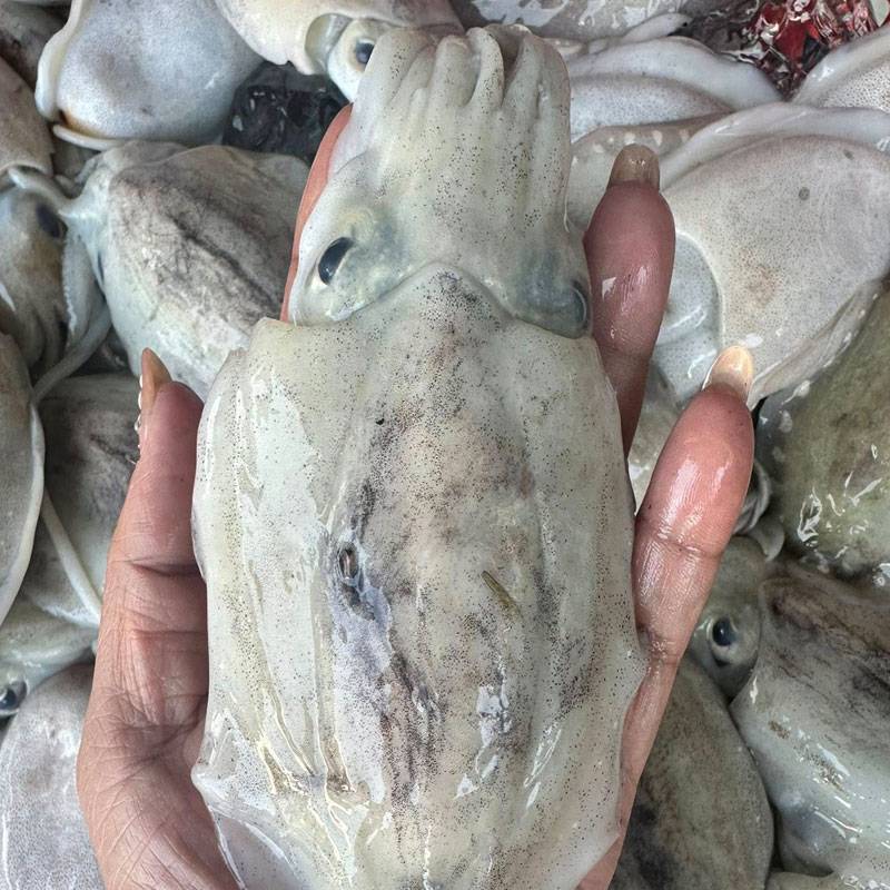 Vựa Hải Sản Tươi Sống Tại Quận 10 | Giá Sỉ & Lẻ Tốt