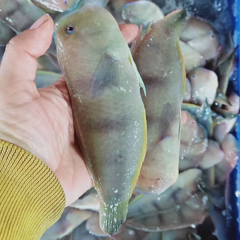 Vựa Hải Sản Tươi Sống Tại Quận 12 | Giá Sỉ & Lẻ Tốt