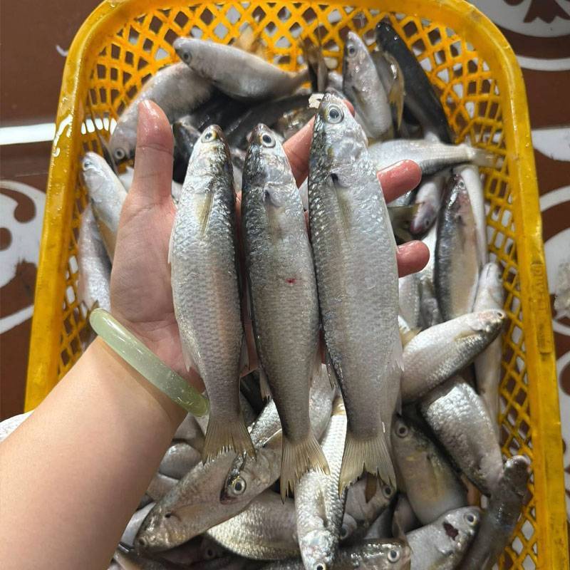 Vựa Hải Sản Tươi Sống Tại Quận Tân Bình | Giá Sỉ & Lẻ Tốt