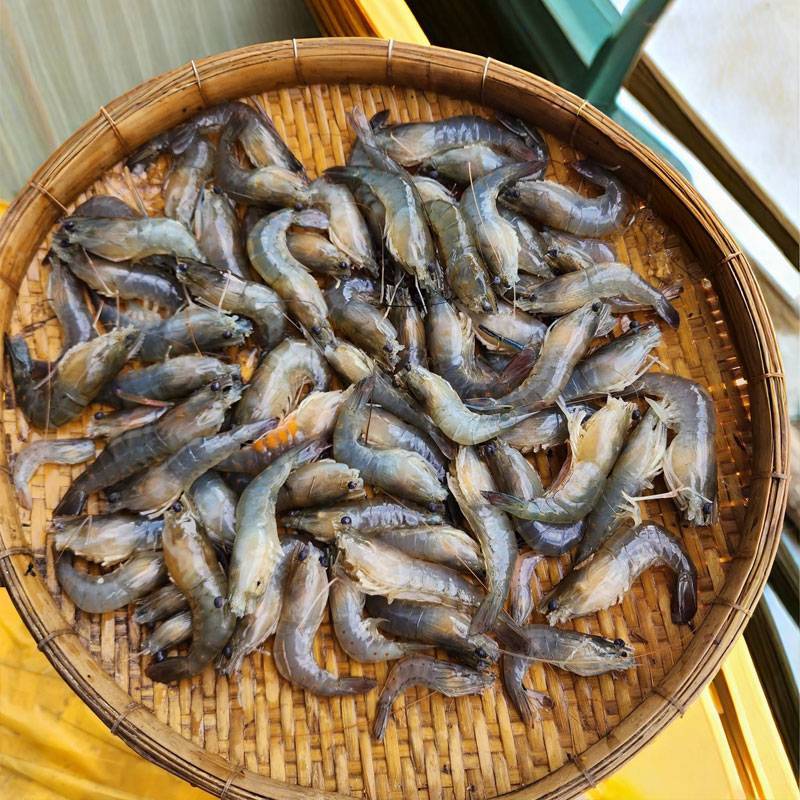 Vựa Hải Sản Tươi Sống Tại Quận Gò Vấp