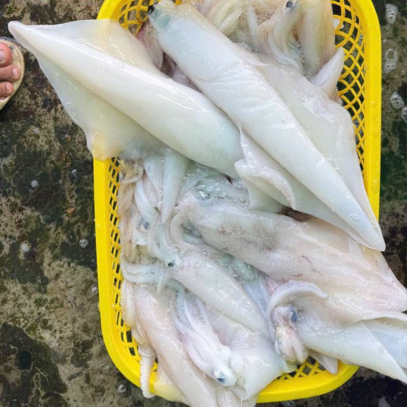 Vựa Hải Sản Tươi Sống Tại TP. Thủ Đức | Giá Tốt – Giao Nhanh