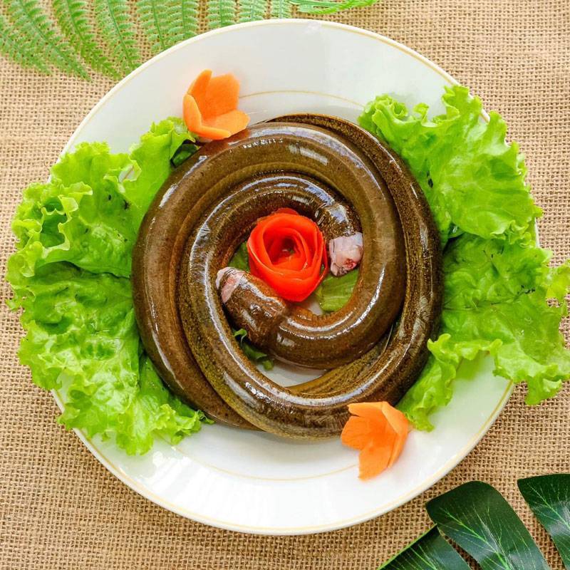 Sỉ lẻ Lươn Cắt Đầu làm sạch