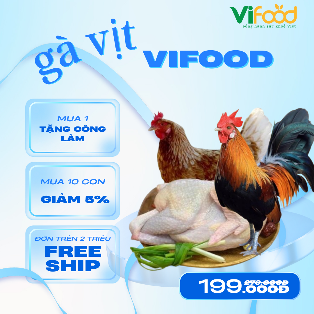 Kho thịt gà đông lạnh giá sỉ tại Nha Trang