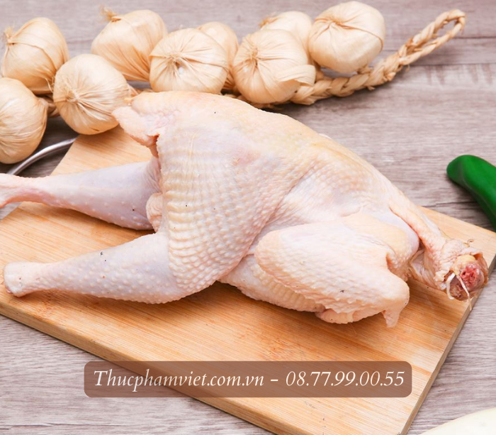 Gà dai nguyên con đông lạnh nhập khẩu giá sỉ TPHCM