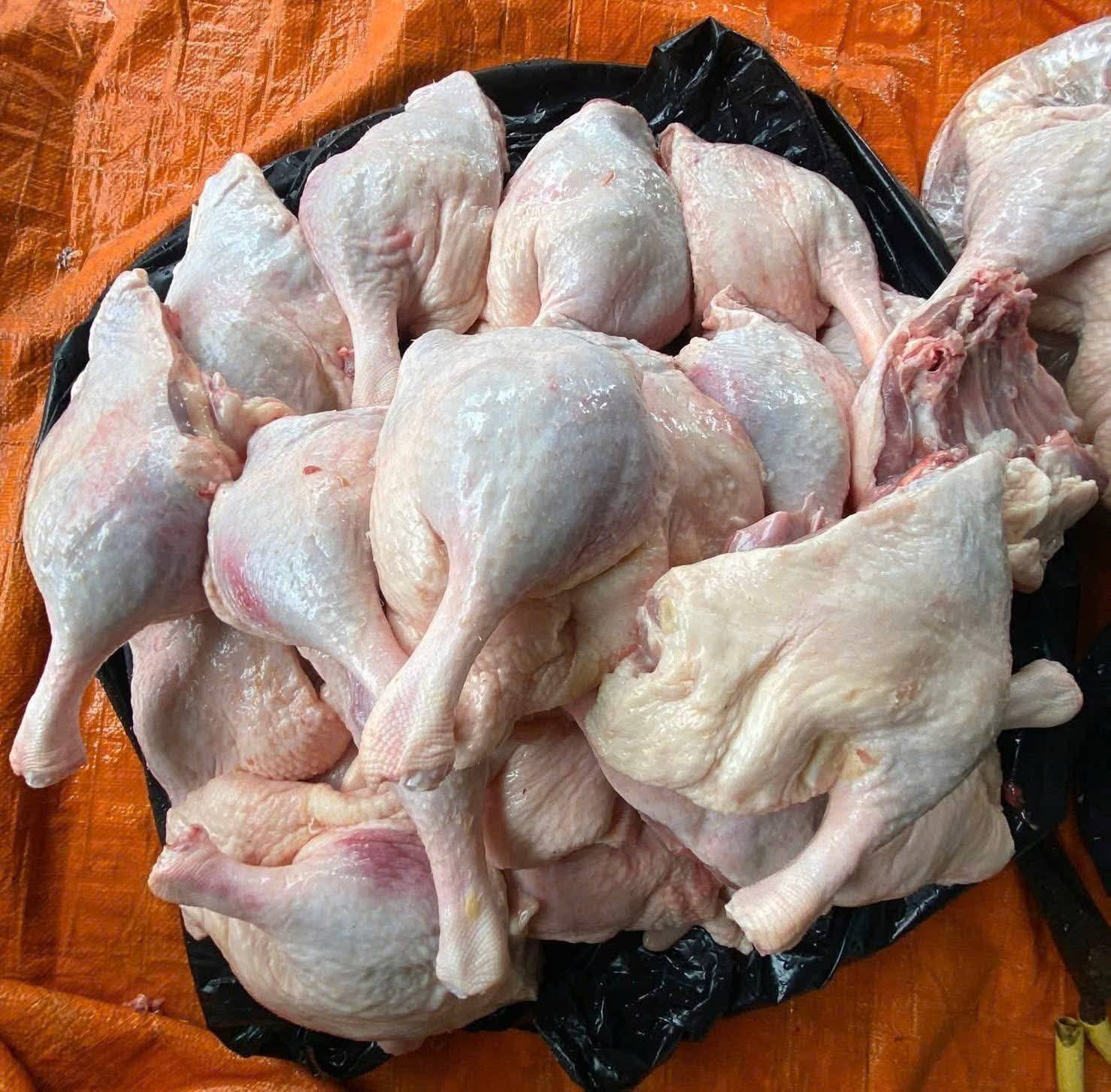 Bán Đùi Vịt Góc Tư Tại TP.HCM