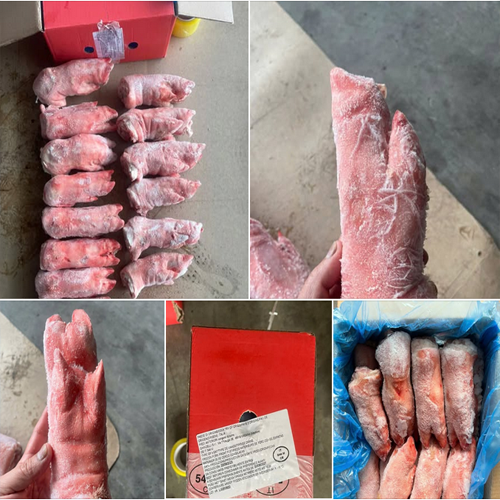 Móng Trước Heo Ý 544M