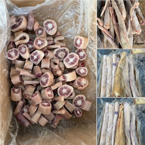 Đuôi Trâu 57 Ammar