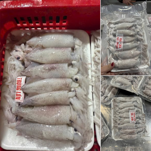 Mực Trứng Tự Nhiên Size 15–20 Net 7