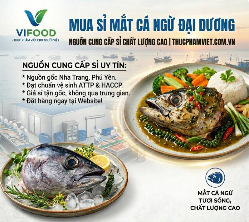 Mua Sỉ Mắt Cá Ngừ Đại Dương Tại Nha Trang Giá Tốt | Hải Sản Đông Lạnh