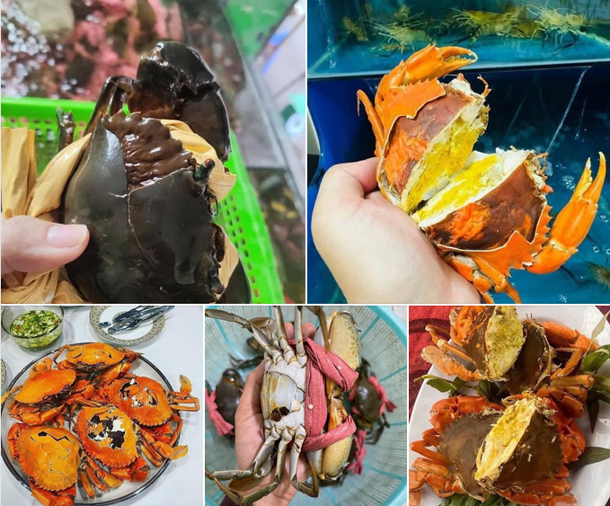 Địa Chỉ Bán Sỉ Cua Cốm (Cua 2 Da) Tại TP.HCM Giá Tốt – Nguồn Hàng Tươi Sống