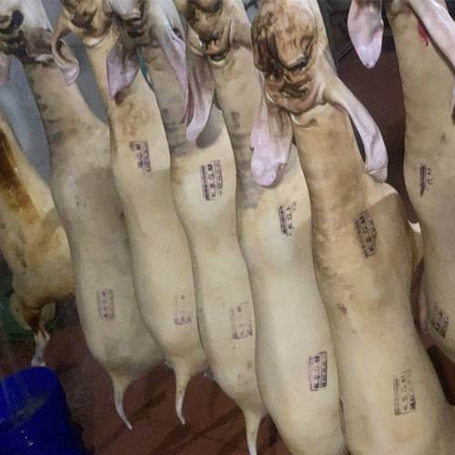 Bán thịt dê tươi nguyên con ( dê móc hàm )
