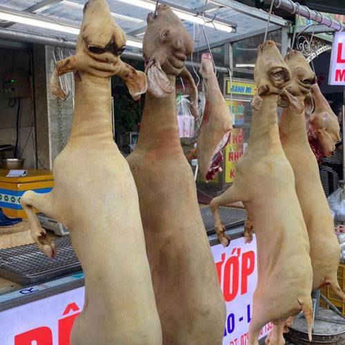 thịt dê tươi tại Quận 7