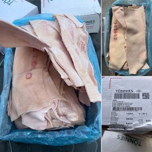 Da Lưng Heo Tonnies