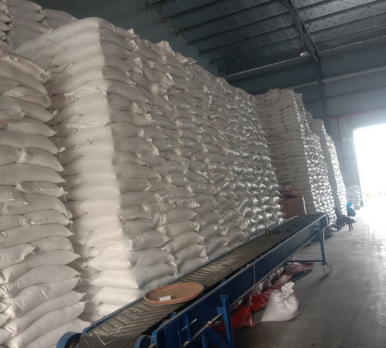 Đại Lý Gạo Phường Lý Văn Lâm Cà Mau | Gạo Ngon Giá Sỉ & Lẻ Uy Tín