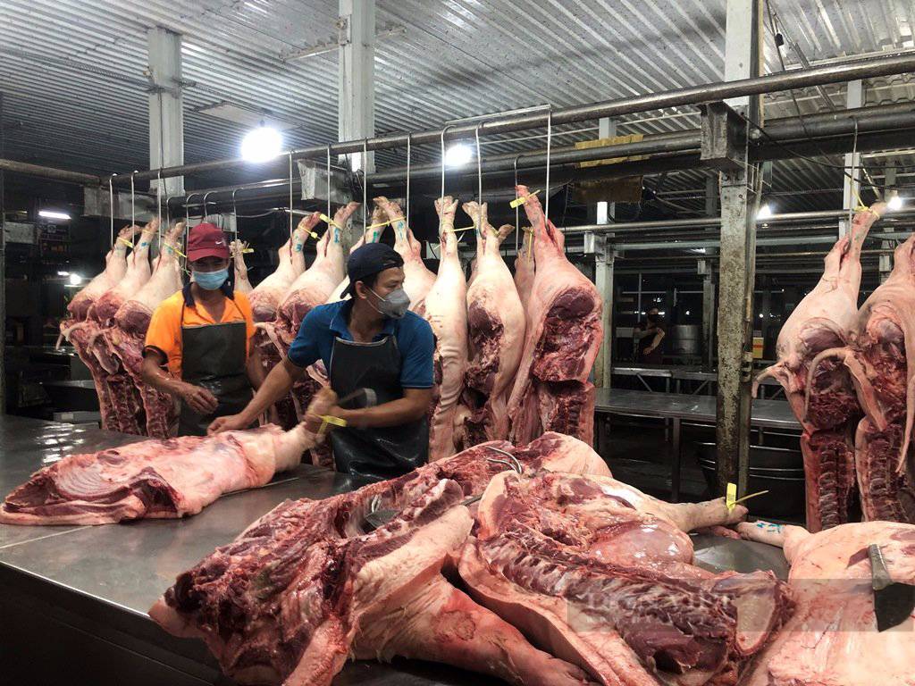 Giá Thịt Heo Hôm Nay Tại TPHCM | Cập Nhật Mới Nhất Theo Ngày