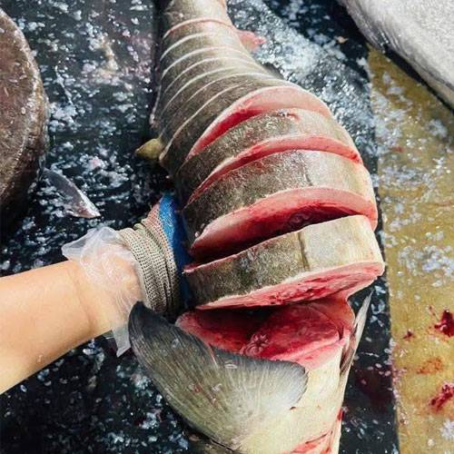 Giá Cá Bớp Chợ Bình Điền Hôm Nay | Giá Sỉ Hải Sản TPHCM