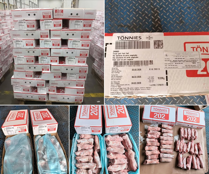 Thịt Heo Đông Lạnh Giá Sỉ | Nhập Khẩu Chính Ngạch, Giá Rẻ, Giao Nhanh