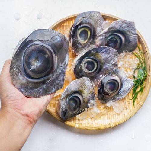 Mắt Cá Ngừ Đại Dương Vũng Tàu