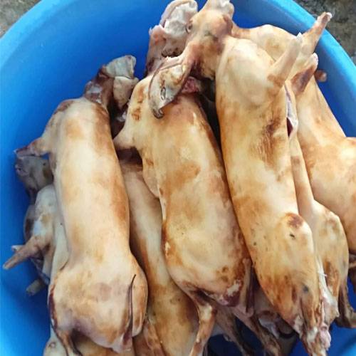 Thịt Thỏ Tươi TP.HCM
