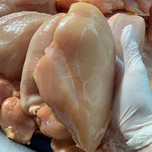 Ức Gà Đông Lạnh Giá Sỉ
