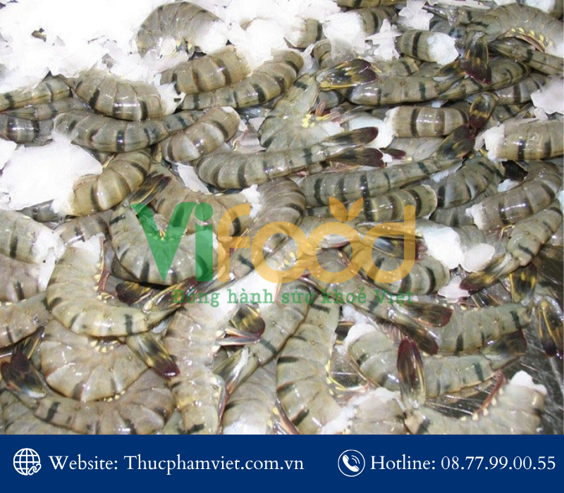 Tổng kho hải sản đông lạnh giá sỉ tại Phường Thông Tây Hội